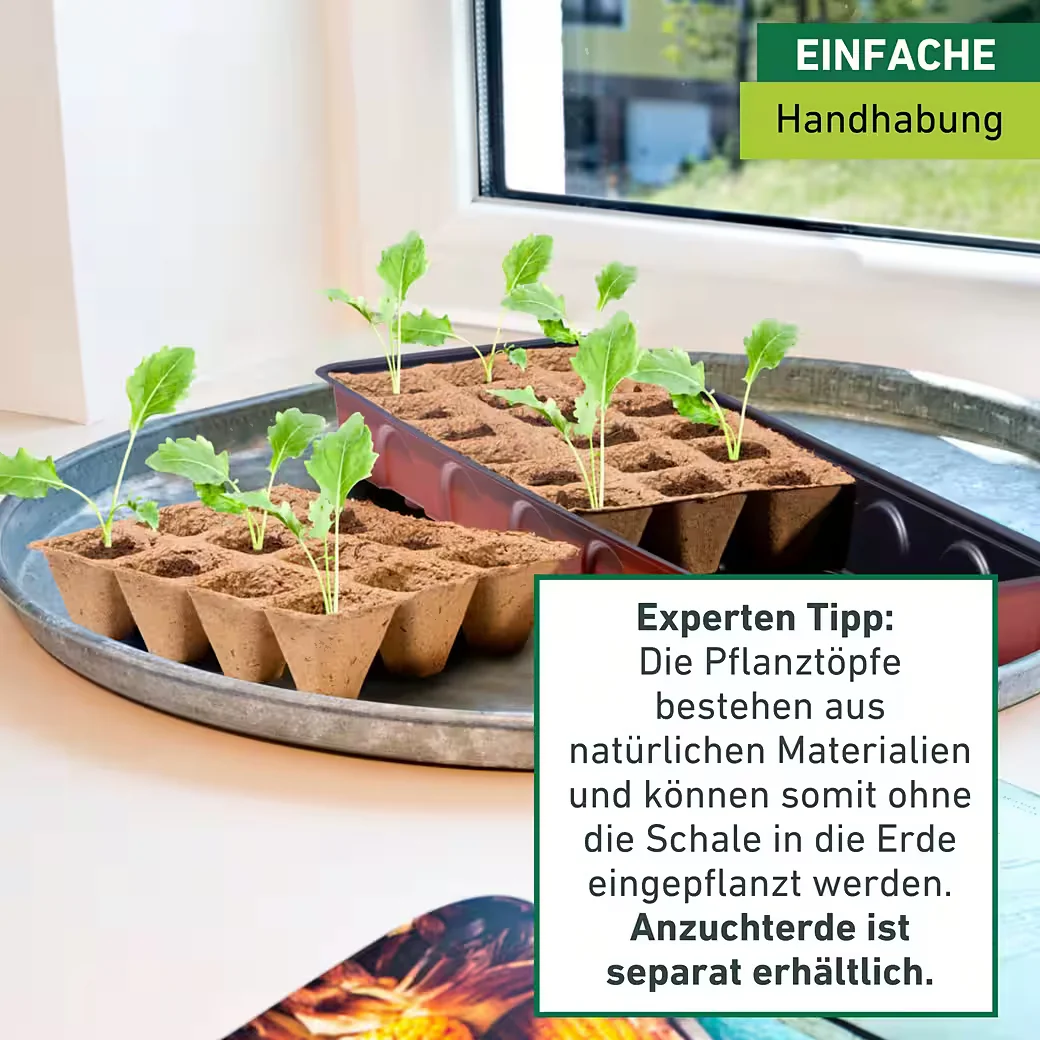 Windhager Fensterbank Gewächshaus mit 30 Anzuchttöpfen terracotta