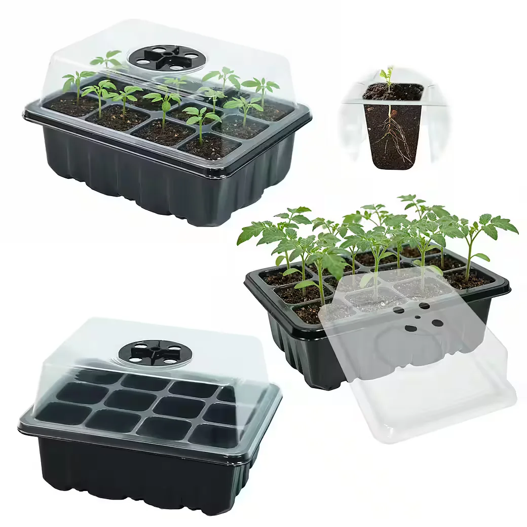 M&W DAS DESIGN Anzuchtkasten Set mit Feuchtigkeitskontrolle 3er
