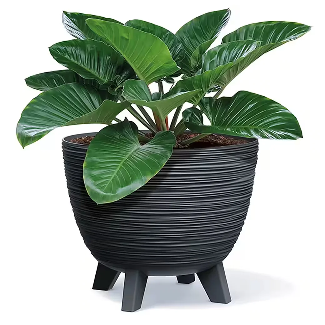 Prosperplast Blumentopf Pflanztopf