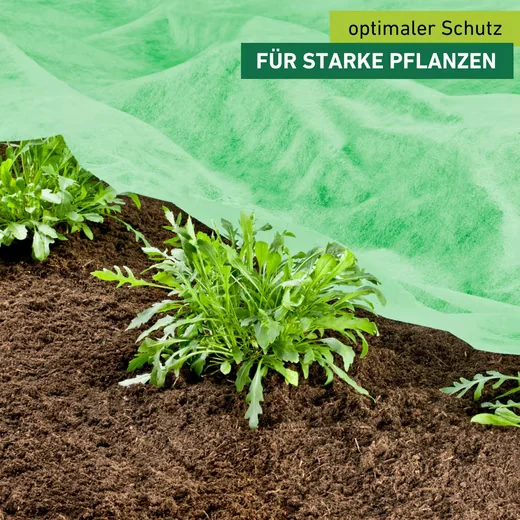 Windhager Gartenvlies Supergrow für Jungpflanzen im Frühbeet