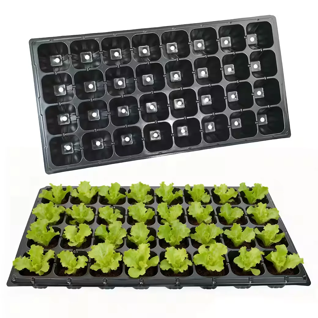 M&W DAS DESIGN Mini Gewächshaus Anzuchtschale 10er Set 54x28 cm