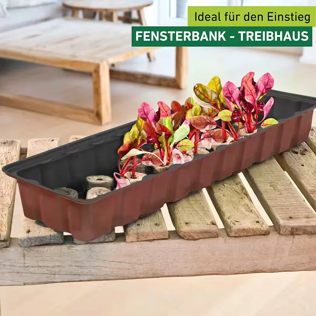 Windhager Fensterbank Gewächshaus mit 30 Anzuchttöpfen terracotta
