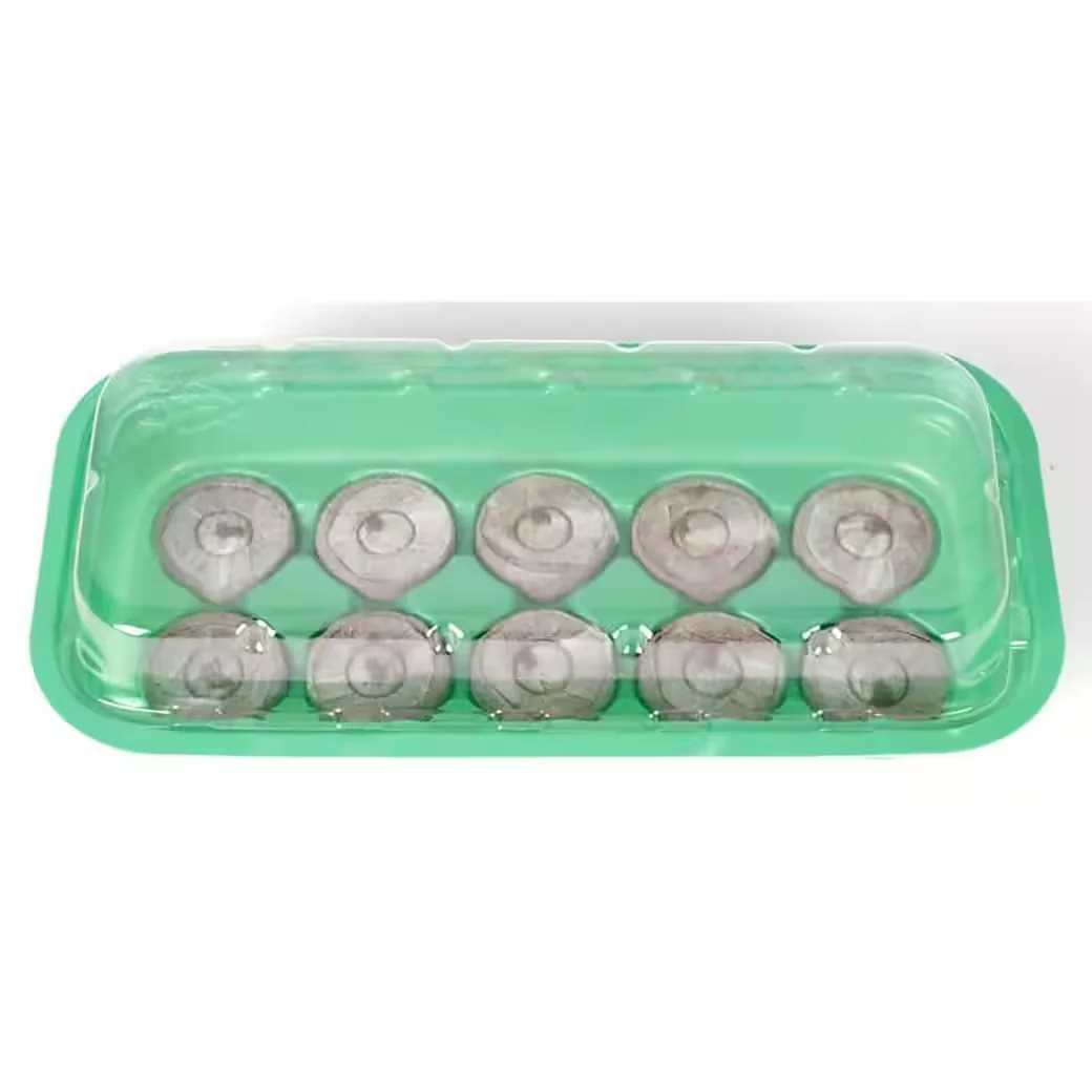 Buri 12x Mini Gewächshaus Anzuchtset 26x13x6 cm mit Erde Keimlinge