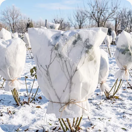 GARRONDA Gartenvlies 50 g pro m2 Frostschutz Gemüsebeet GD-0178