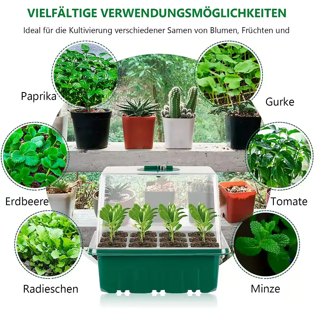 JIBENHOME Anzuchtschale Gewächshaus mit LED und Timer, 4 bis 6 Stück