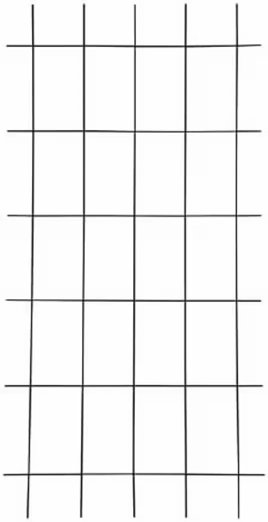Testrut Gitterspalier Metall braun 75x150 cm, wetterfest, 5 Streben