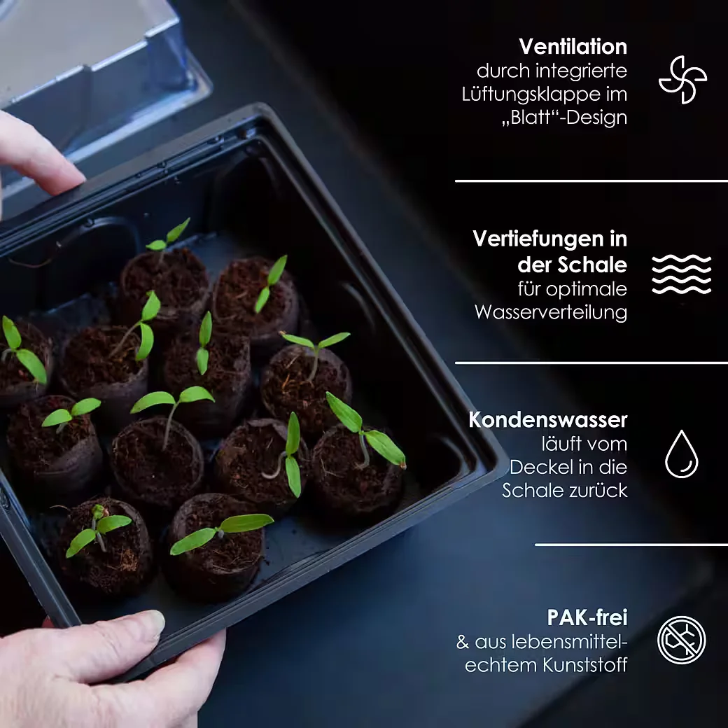 HAPPYSEED Gewächshaus Anzuchtset 60 Kokostabs inkl Kokoserde