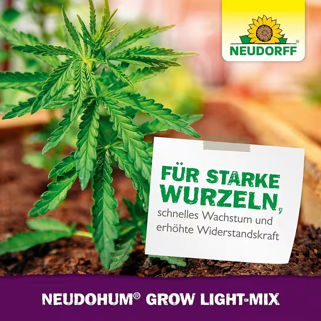NEUDORFF NeudoHum Grow Light-Mix Spezialerde Anzuchterde 10 L