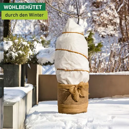 Windhager Winterschutzvlies Vlieshaube für Pflanzen Frostschutz