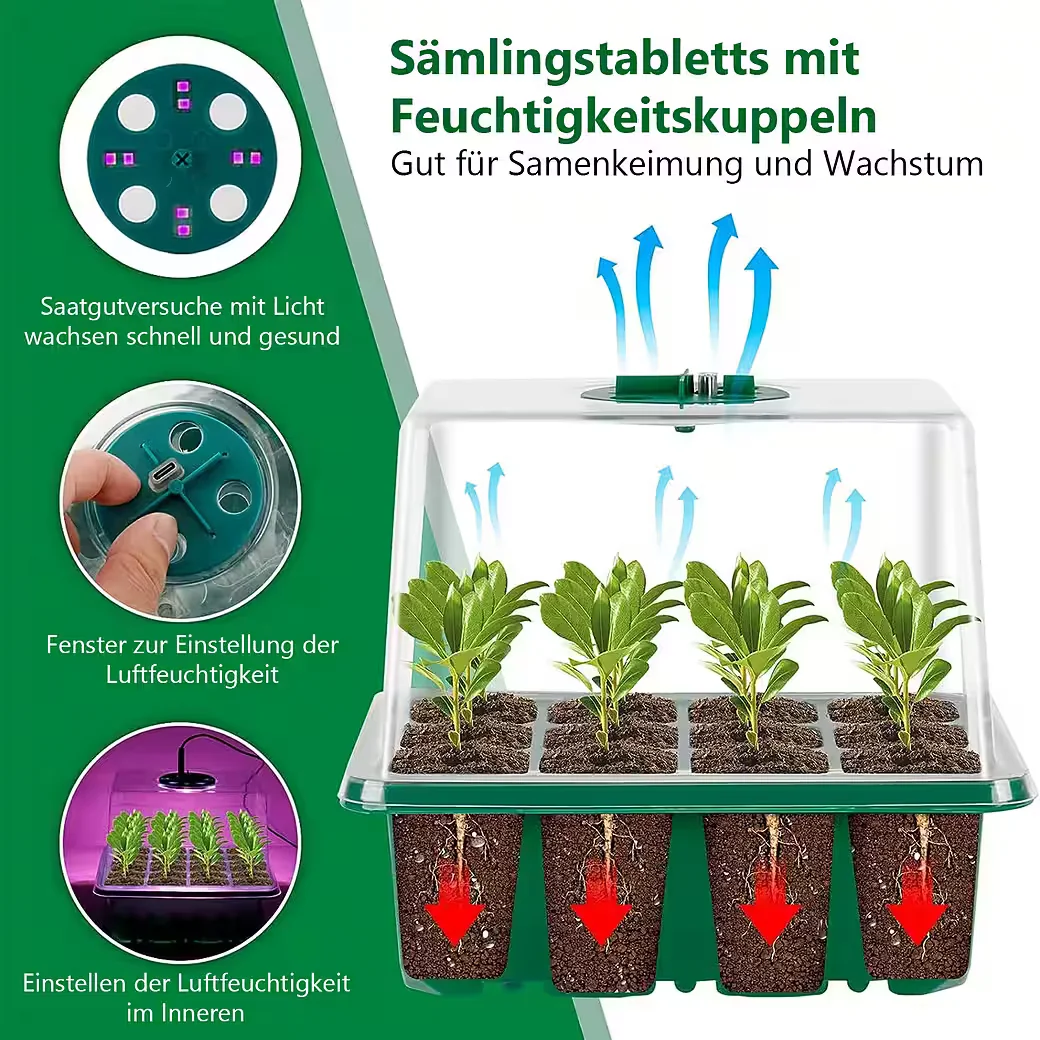 JIBENHOME Anzuchtschale Gewächshaus mit LED und Timer, 4 bis 6 Stück