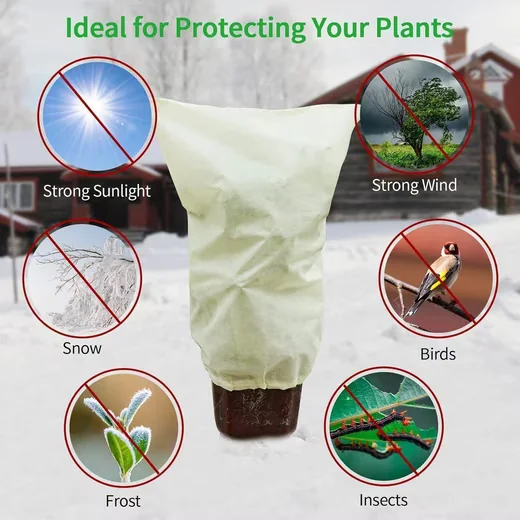 Winterschutzhaube 4er Pack Winterschutz-Haube 80x100cm Frostschutzvlies Pflanzen