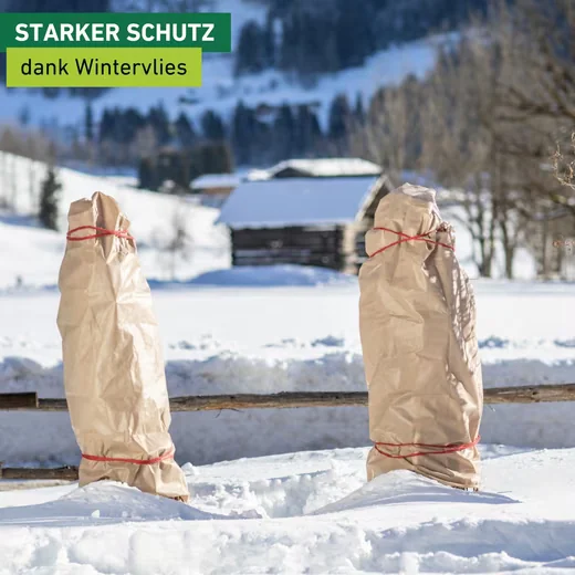 Windhager Winterschutzvlies für Gartenpflanzen Frost und Kälteschutz